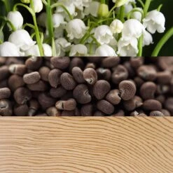 Calvin Klein Beauty 9 Calvin Klein Beauty -Guerlain Soldes calvin klein beauty eau de parfum pour femme 2