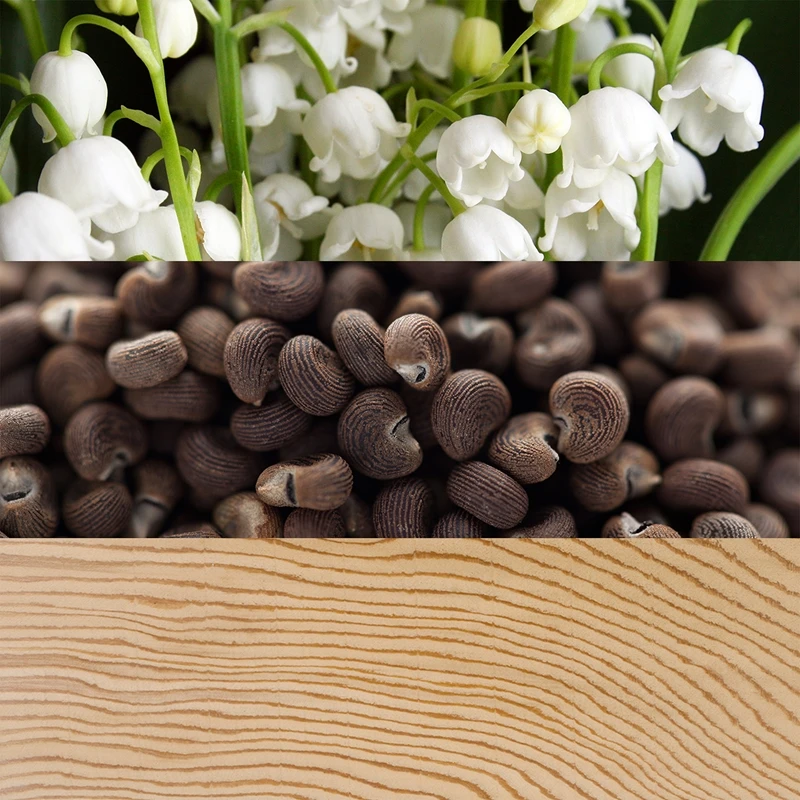 Calvin Klein Beauty 6 Calvin Klein Beauty – Image 4