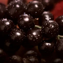 Calvin Klein My Euphoria -Guerlain Soldes calvin klein my euphoria eau de parfum pour femme 5