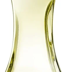 Giorgio Beverly Hills Giorgio