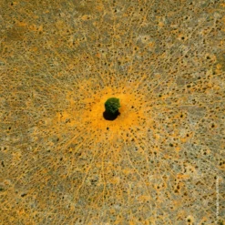 GUERLAIN Aqua Allegoria Mandarine Basilic 13 GUERLAIN Aqua Allegoria Mandarine Basilic -Guerlain Soldes guerlain aqua allegoria mandarine basilic eau de toilette rechargeable pour femme 4