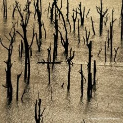 GUERLAIN Aqua Allegoria Rosa Rossa Forte -Guerlain Soldes guerlain aqua allegoria rosa rossa forte eau de parfum rechargeable pour femme 4