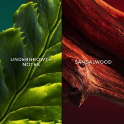 GUERLAIN Chant D'Arômes -Guerlain Soldes guerlain chant daromes eau de toilette pour femme 3