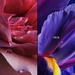 GUERLAIN L&apos;Initial -Guerlain Soldes guerlain linitial eau de parfum pour femme 3