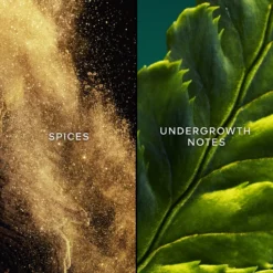 GUERLAIN Vol De Nuit -Guerlain Soldes guerlain vol de nuit eau de toilette pour femme 3