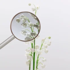 Miu Miu Fleur D'Argent -Guerlain Soldes miu miu fleur dargent eau de parfum absolue pour femme 1