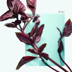 Tiffany & Co. Tiffany & Love -Guerlain Soldes tiffany co tiffany love eau de parfum pour femme 4