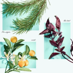 Tiffany & Co. Tiffany & Love -Guerlain Soldes tiffany co tiffany love eau de parfum pour femme 5