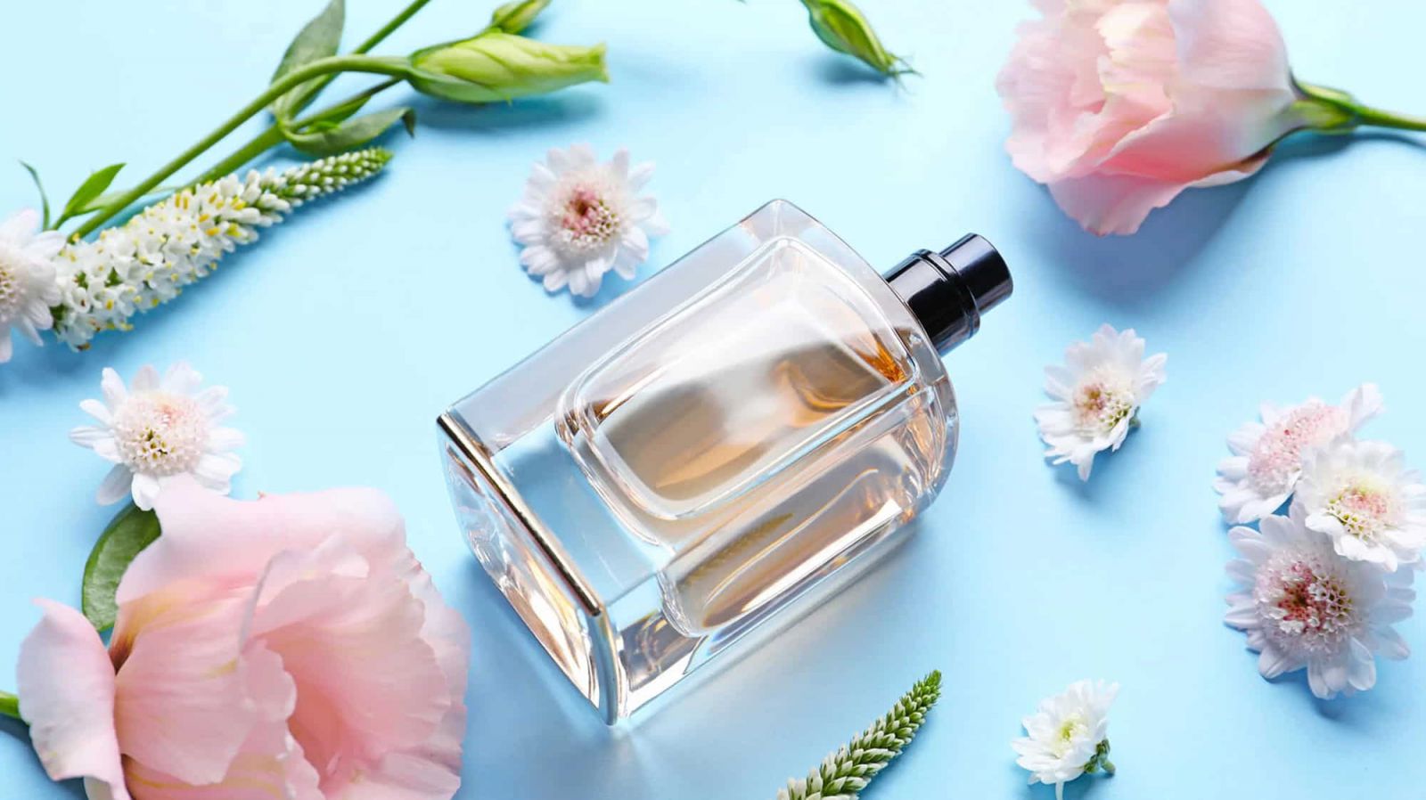 Parfumerie Notino -Guerlain Soldes kinh nghiem kinh doanh nuoc hoa kiem loi nhuan khung moi thang